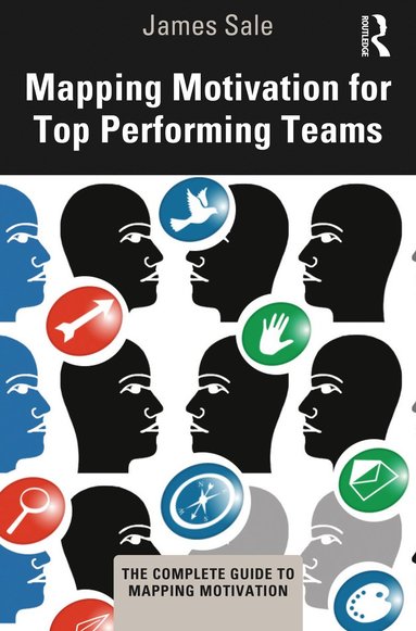 bokomslag Mapping Motivation for Top Performing Teams