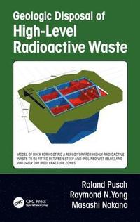 bokomslag Geologic Disposal of High-Level Radioactive Waste