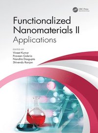 bokomslag Functionalized Nanomaterials II