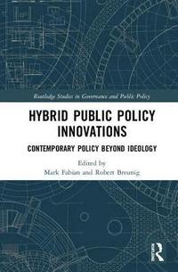 bokomslag Hybrid Public Policy Innovations