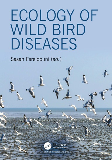 bokomslag Ecology of Wild Bird Diseases