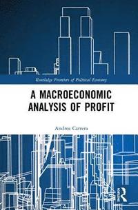 bokomslag A Macroeconomic Analysis of Profit