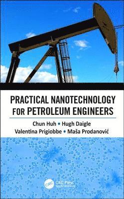 bokomslag Practical Nanotechnology for Petroleum Engineers