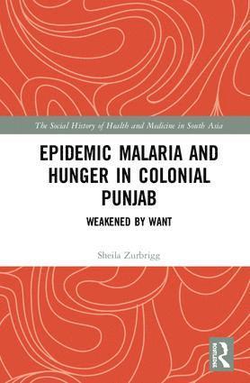 bokomslag Epidemic Malaria and Hunger in Colonial Punjab