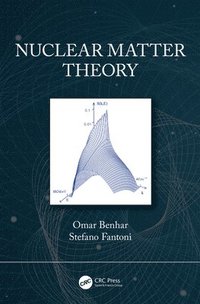 bokomslag Nuclear Matter Theory