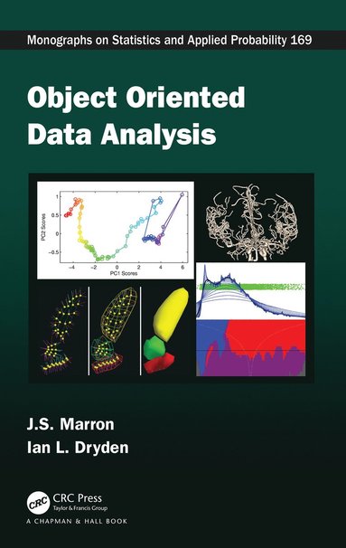 bokomslag Object Oriented Data Analysis