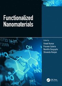 bokomslag Functionalized Nanomaterials