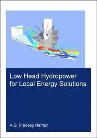 bokomslag Low Head Hydropower for Local Energy Solutions