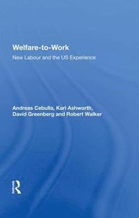 bokomslag Welfare-to-Work