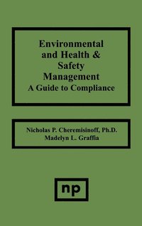 bokomslag Environmental and Health and Safety Management