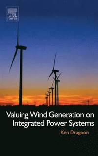 bokomslag Valuing Wind Generation on Integrated Power Systems