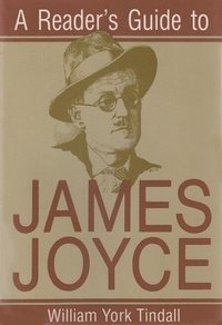 bokomslag A Reader's Guide to James Joyce