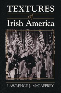 bokomslag Textures of Irish America