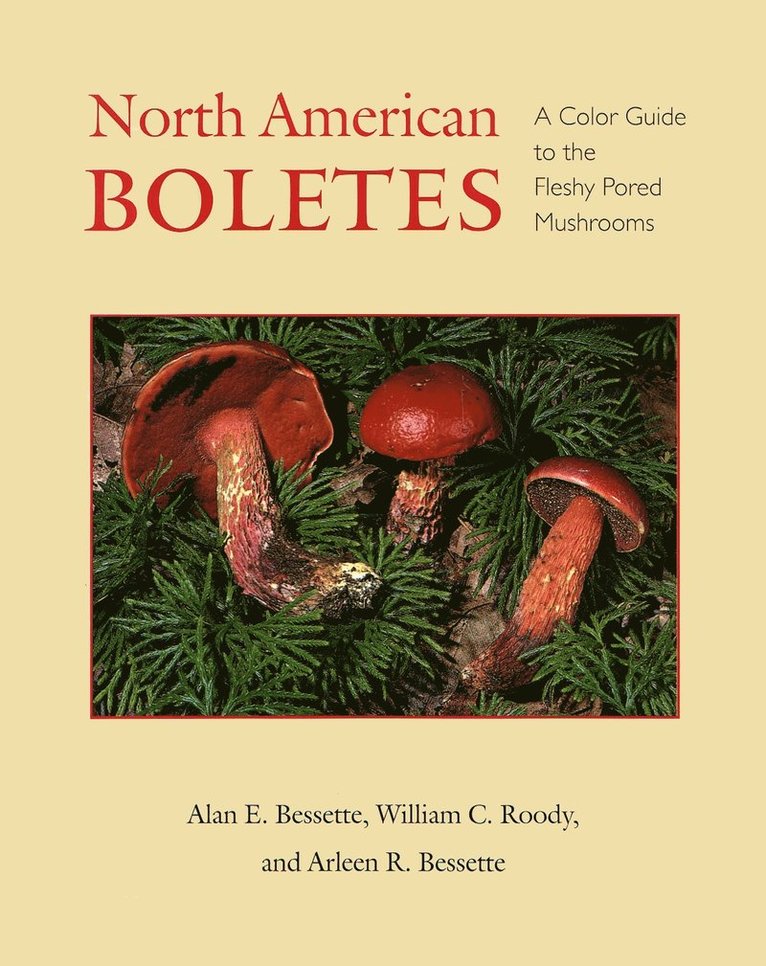 North American Boletes 1