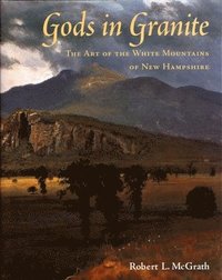 bokomslag Gods in Granite