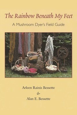 Alan E. Bessette, Arleen Bessette, Alan Bessette - Rainbow Beneath My Feet, Häftad