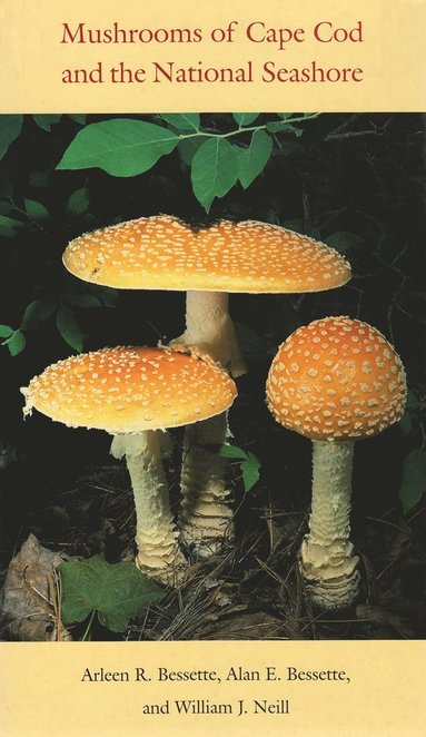 bokomslag Mushrooms of Cape Cod and the National Seashore