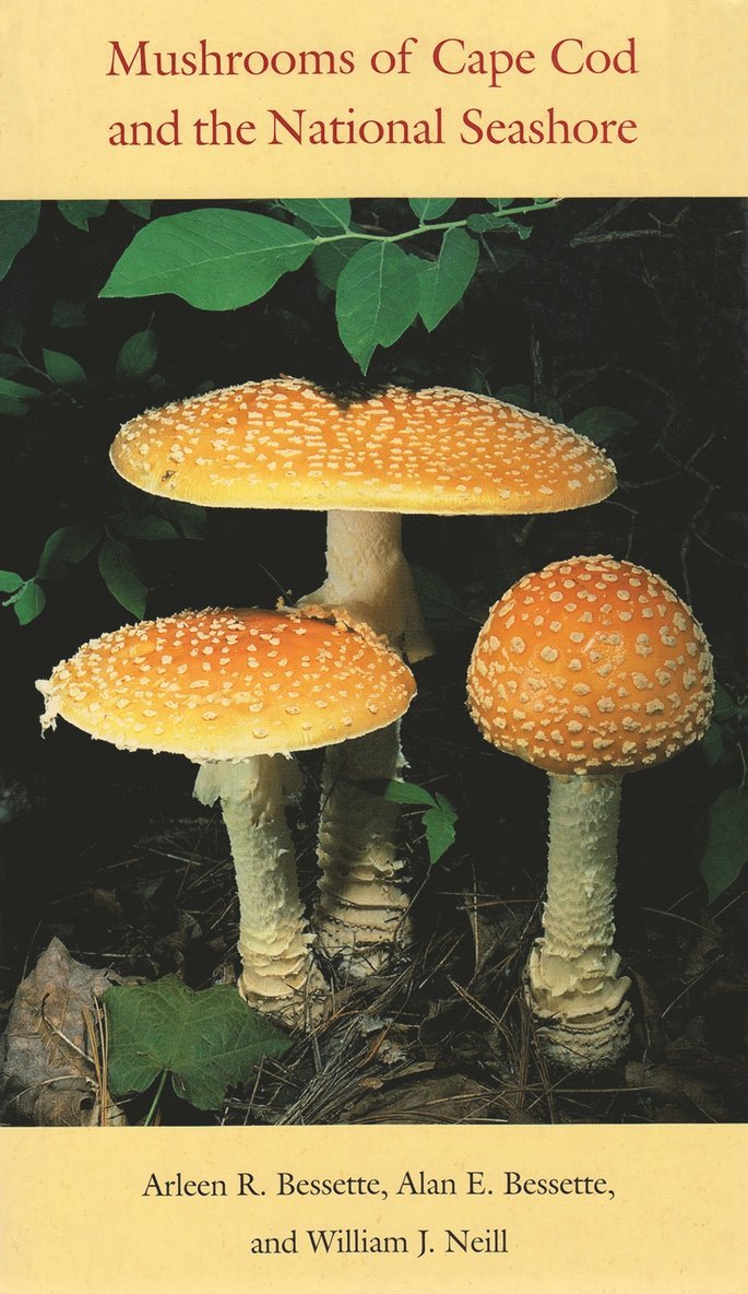 Arleen R. Bessette, William J. Neill, Arleen Bessette, Alan Bessette, William J Neill - Mushrooms of Cape Cod and the National Seashore, Inbunden