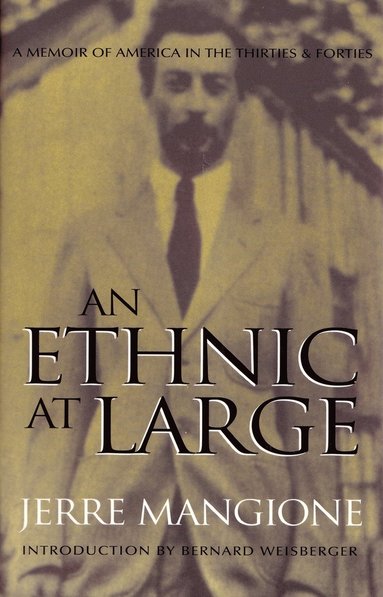 bokomslag Ethnic At Large