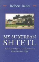 My Suburban Shtetl