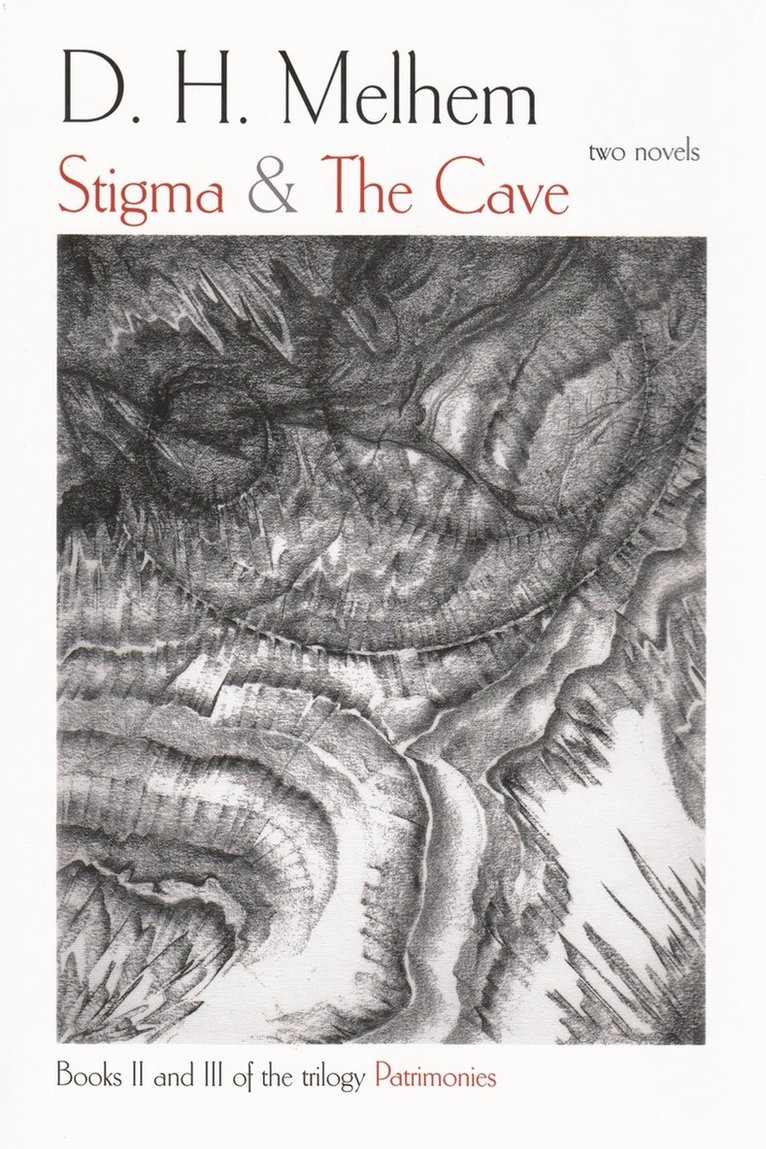 D. H. Melhem, D H Melhem - Stigma and the Cave, Häftad
