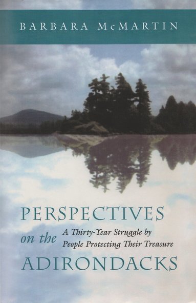 bokomslag Perspectives on the Adirondacks