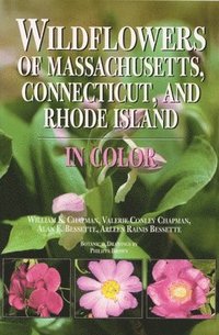 bokomslag Wildflowers of Massachusetts, Connecticut, and Rhode Island in Color
