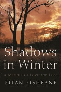 bokomslag Shadows in Winter