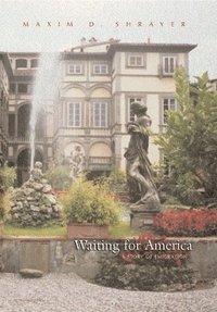 bokomslag Waiting For America