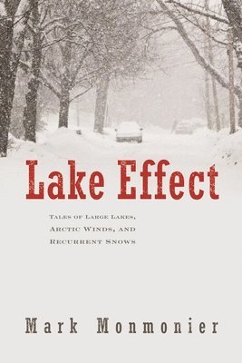 bokomslag Lake Effect
