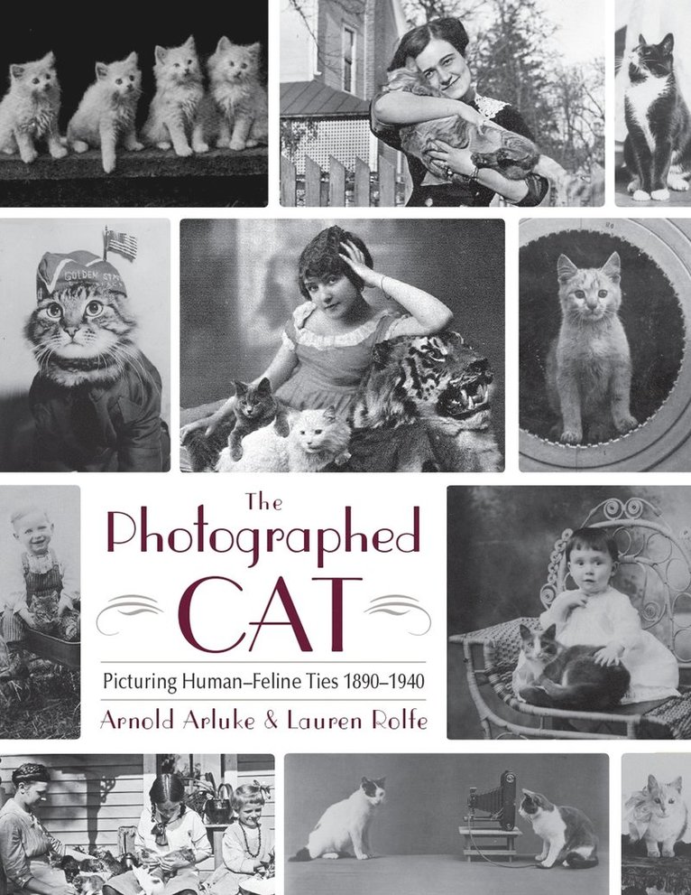 Arnold Arluke, Lauren Rolfe - Photographed Cat, Inbunden