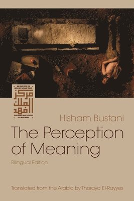 Hisham Bustani - Perception of Meaning, Häftad