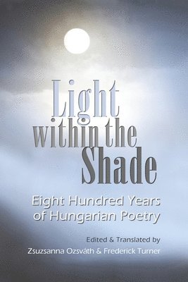 bokomslag Light Within the Shade