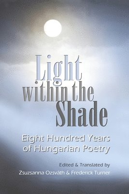Light within the Shade 1