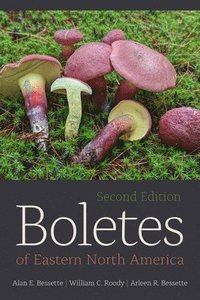 bokomslag Boletes of Eastern North America