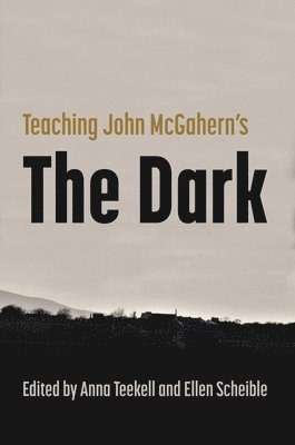 bokomslag Teaching John McGahern's the Dark