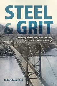bokomslag Steel and Grit