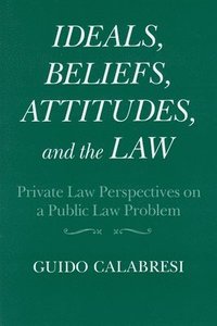 bokomslag Ideals, Beliefs, Attitudes and the Law