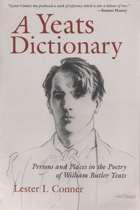 bokomslag Yeats Dictionary