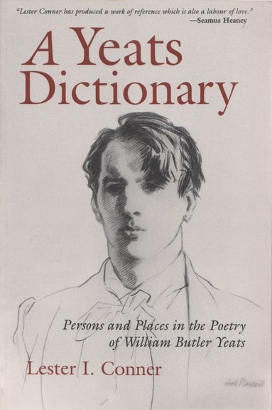 bokomslag Yeats Dictionary