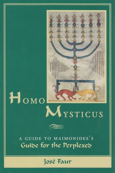 bokomslag Homo Mysticus