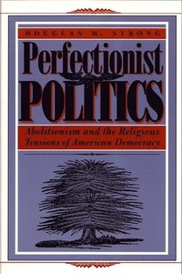bokomslag Perfectionist Politics
