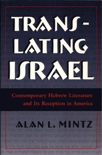 bokomslag Translating Israel