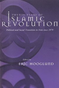 bokomslag Twenty Years of Islamic Revolution