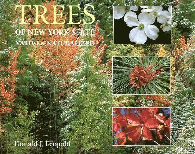 Donald J Leopold - Trees of New York State, Inbunden