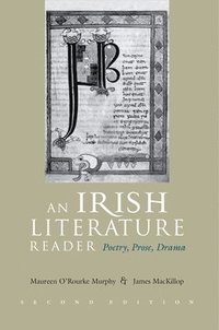 bokomslag An Irish Literature Reader