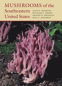 bokomslag Mushrooms of the Southeastern United States