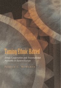 bokomslag Taming Ethnic Hatred