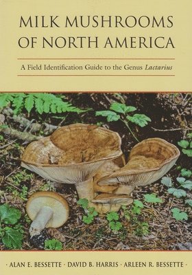 Milk Mushrooms of North America 1