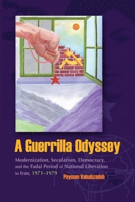 bokomslag A Guerrilla Odyssey